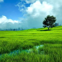 緑あふれる草原と雲に沈む都市の写真