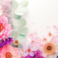 繊細な花びらの重なりと水滴のアクセントの写真