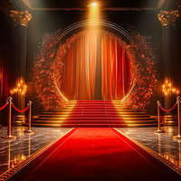 豪華な照明とレッドカーペットが敷かれたステージの写真