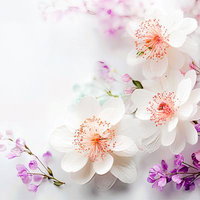 白い花びらと紫色の小花が彩るフラワーアレンジメントの写真