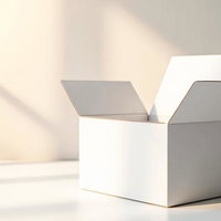 蓋の開いた白い段ボール箱の写真