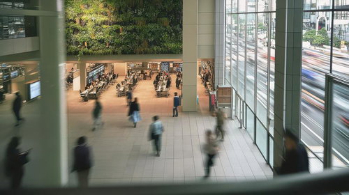 商業施設風の屋内ワークスペース、緑化と自然光が融合したモダンオフィス