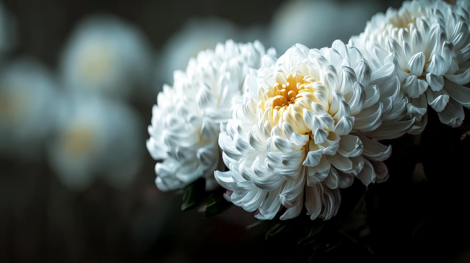 白い菊を集めた仏花（供花）のAI画像