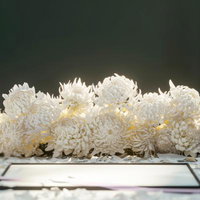 黒い祭壇に供えられた白い菊の花、葬儀や通夜の供花として用いられる弔花の写真