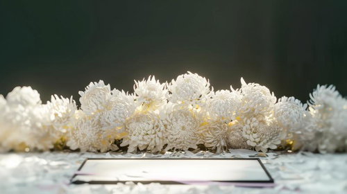 黒い祭壇に供えられた白い菊の花、葬儀や通夜の供花として用いられる弔花