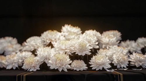 哀悼の菊の花・祭壇飾り（白）