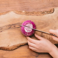 食用菊と箸の和食テーブルコーディネートの写真