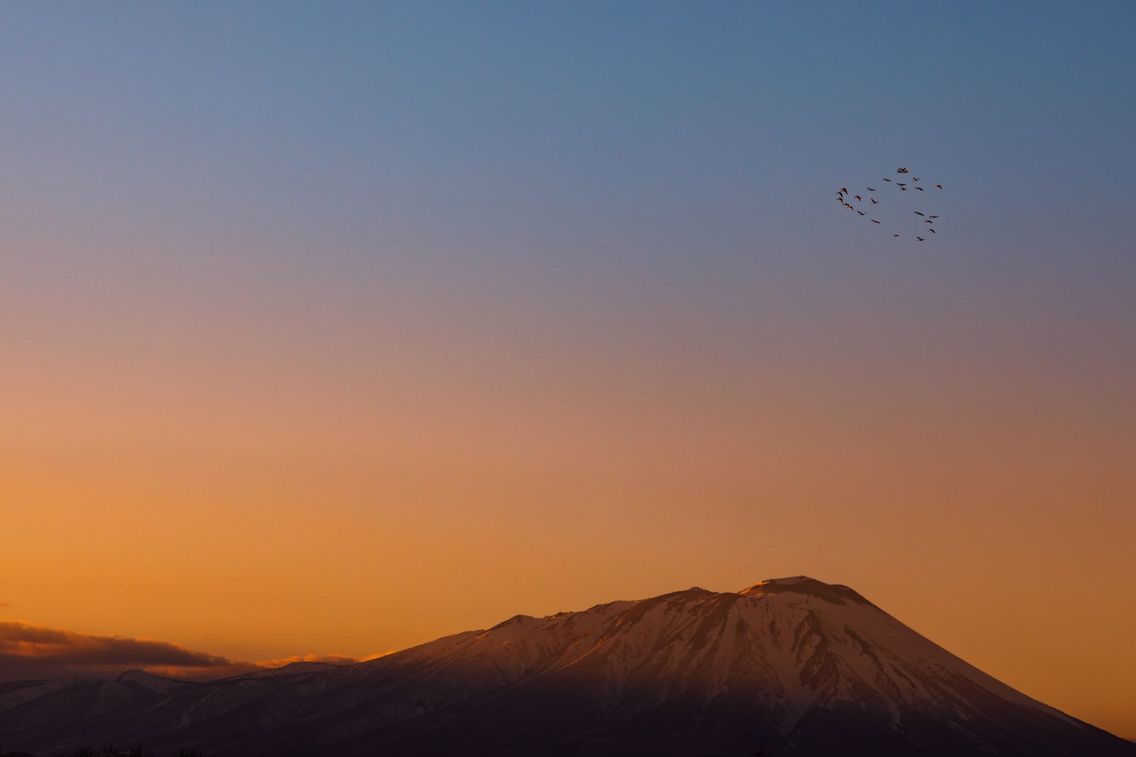 夕焼けに浮かぶ岩手山のシルエットと渡り鳥の写真素材 - フリー素材