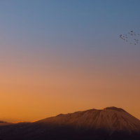 夕焼けに浮かぶ岩手山のシルエットと渡り鳥の写真