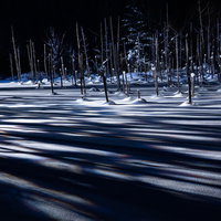雪積もる五稜郭の夜間イルミネーション俯瞰の写真