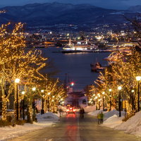 ライトアップされた函館八幡坂から見える港の夜景の写真