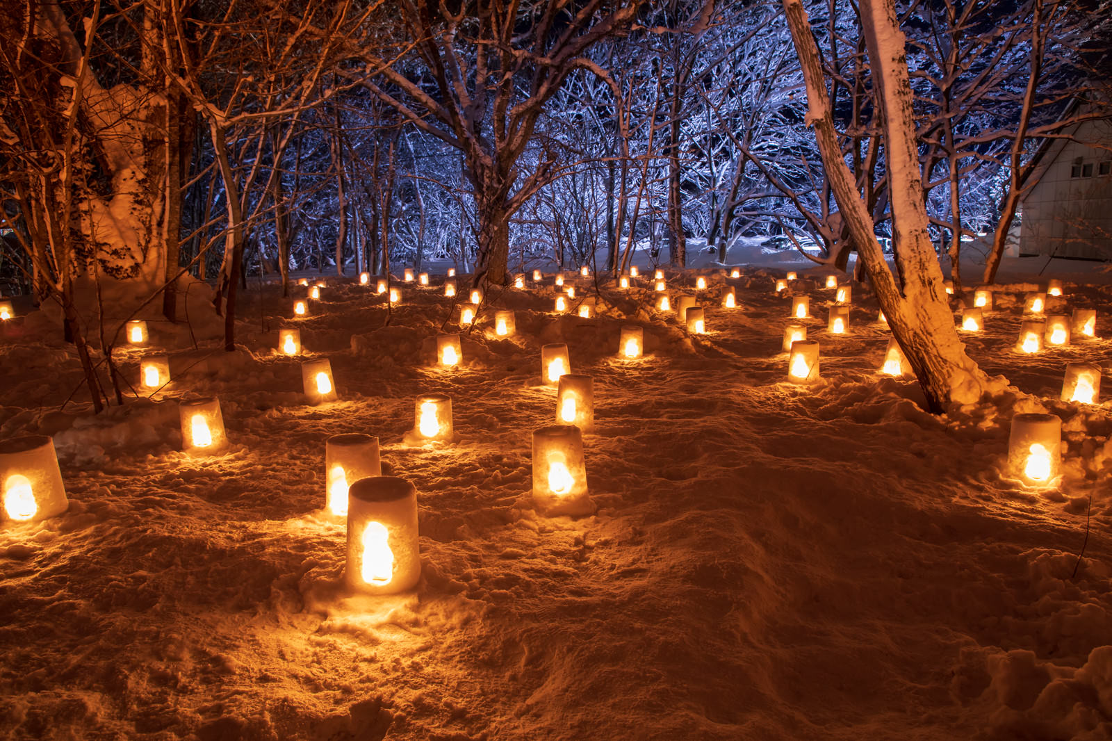 雪で作られたミニかまくらにキャンドルが灯り、樹木が照らされた雪あかり祭りの夜景