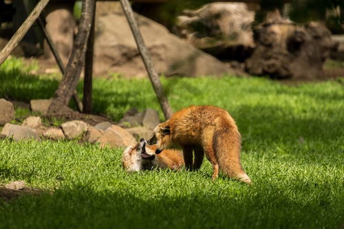 進捗どうですか？