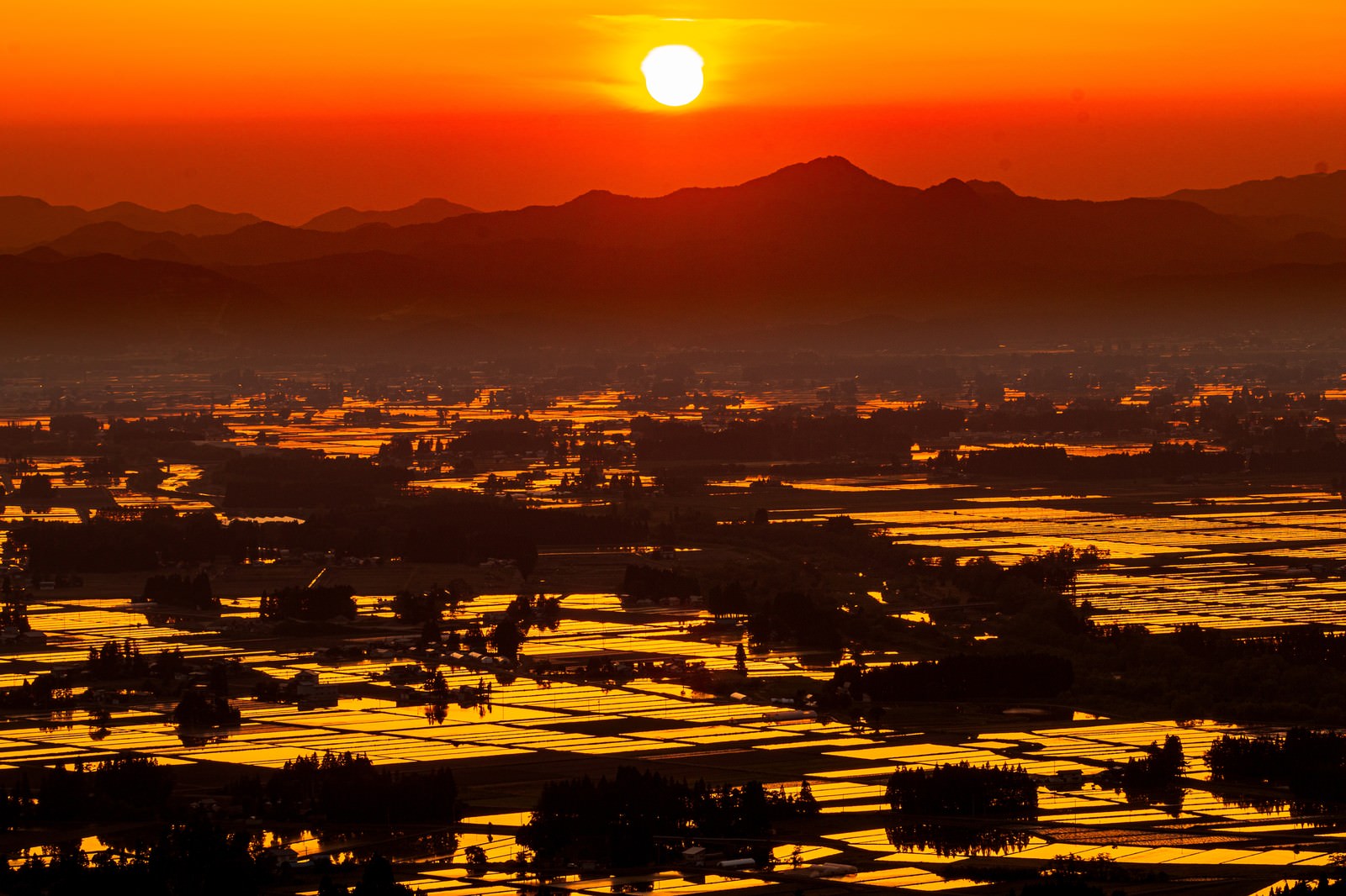 夕日に染まる田園風景、水田が黄金色に輝き山々がシルエット