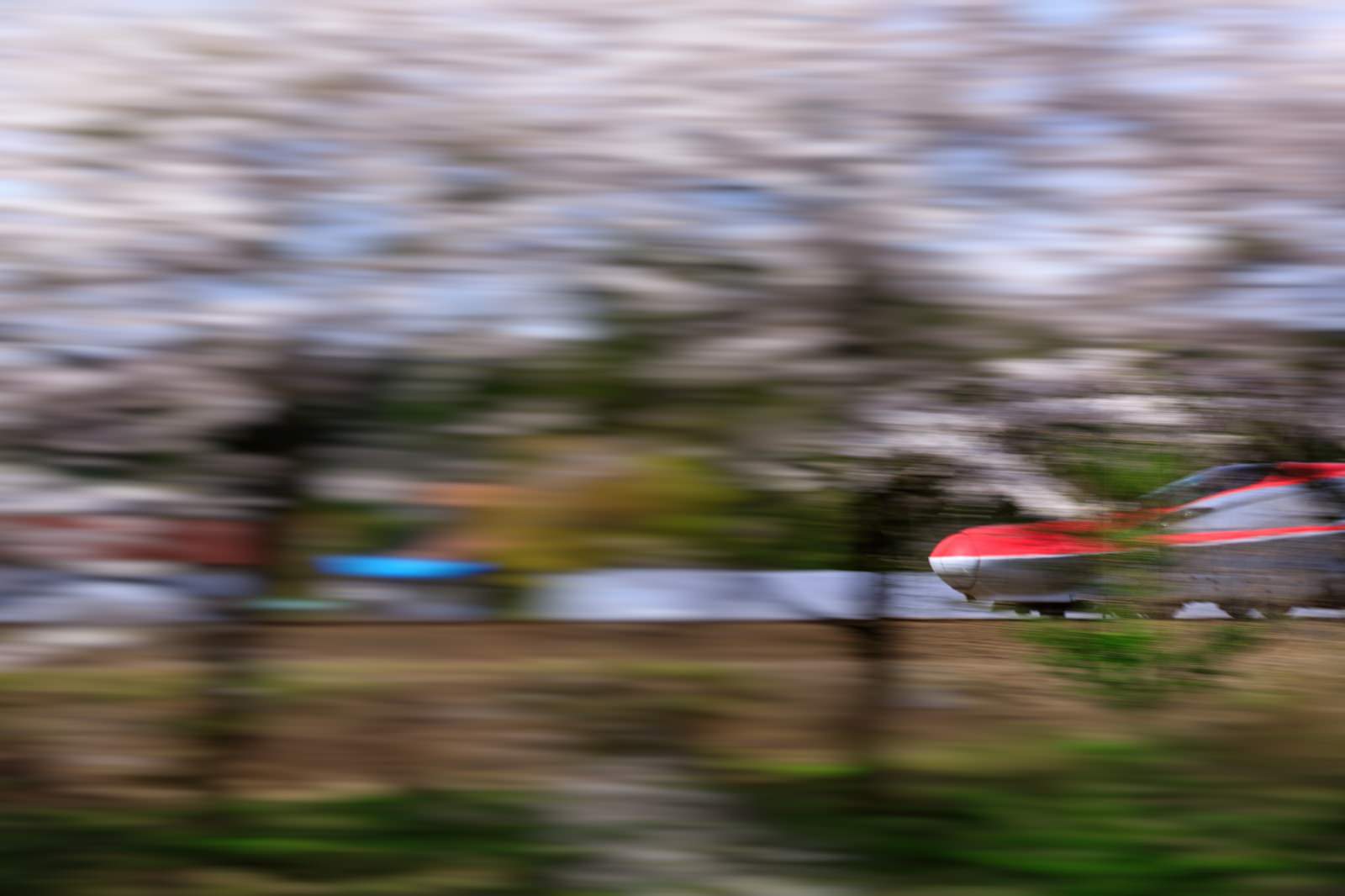 満開の桜並木の中を高速で駆け抜ける白い秋田新幹線こまちE6系の様子