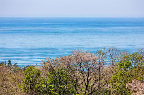 高台から見下ろす静かな海と水平線、新緑の木々越しに浮かぶボート