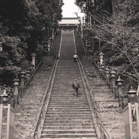 鹽竈神社への階段を上る参拝者たち（宮城県塩竈市）の写真