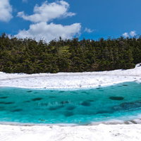残雪に囲まれた八幡平ドラゴンアイの龍の目の写真