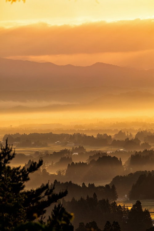 朝日に染まる朝霧残る街並み
