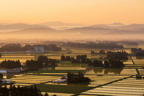 朝霧残る雲海と山並みの早朝風景