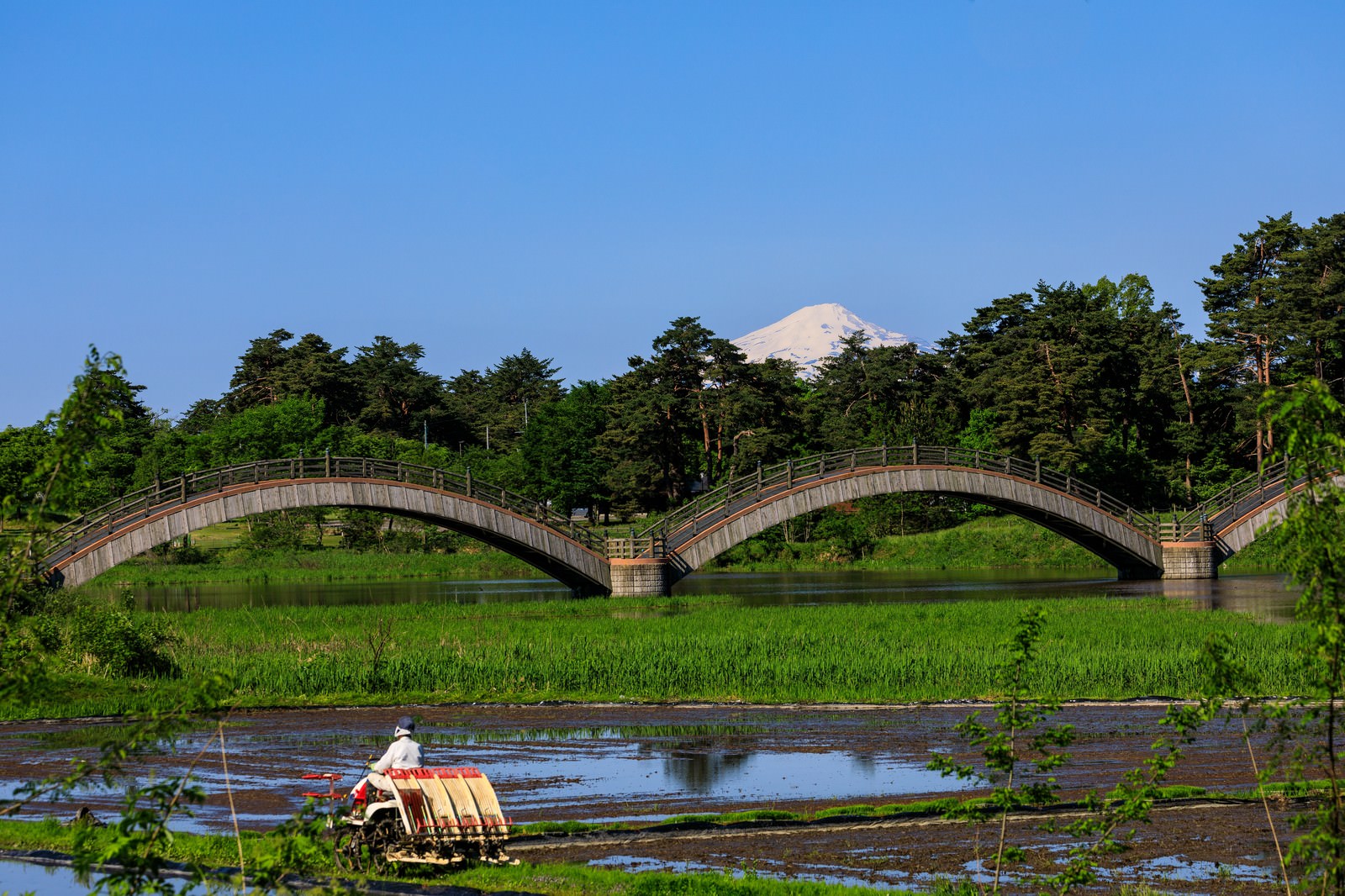 青空の下、山を背景に三連のアーチ橋が架かり、手前に水田が広がる風景