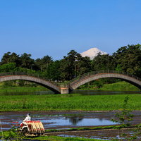 鳥海山を背景にした三連の雁がね橋と田植えの写真