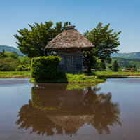 水田に映る荒神神社の茅葺き屋根と青空、遠野市の伝統建築と田園風景の写真