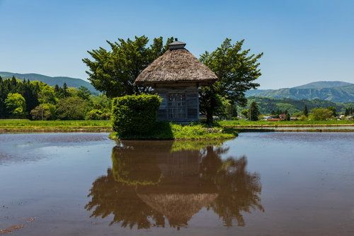 水田に映る荒神神社の茅葺き屋根と青空、遠野市の伝統建築と田園風景
