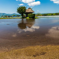 水田に映る荒神神社（遠野市）の水鏡風景の写真