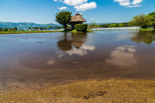水田に映る荒神神社（遠野市）の水鏡風景