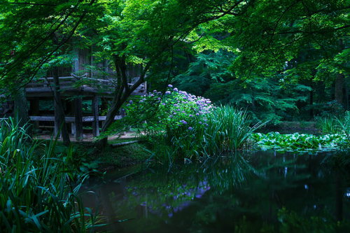 深緑に囲まれた池の水鏡に映る中尊寺弁財天堂