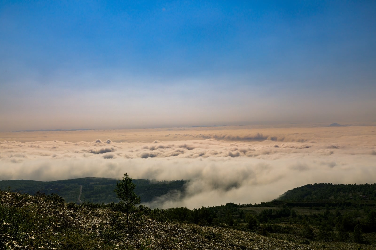 八幡平の山頂から見下ろした雲海の風景