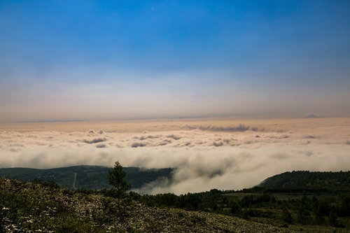 八幡平の山頂から眼下に広がる雲海と青空の絶景パノラマ