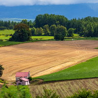 青空の下に広がる耕された畑と緑の小屋と山並みの写真