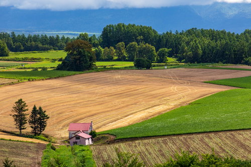 青空の下に広がる耕された畑と緑の小屋と山並み