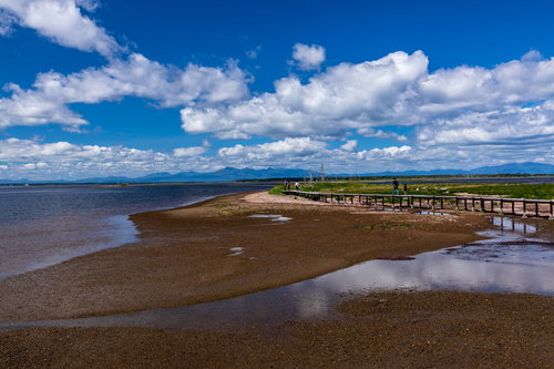 野付半島の海岸に延びる木道とナラワラ、砂嘴の景観