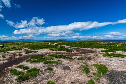 日本最大の砂嘴（野付半島）の流木と湿地