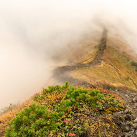 霧に覆われる駒ヶ岳の稜線と登山道を進む登山者の風景の写真
