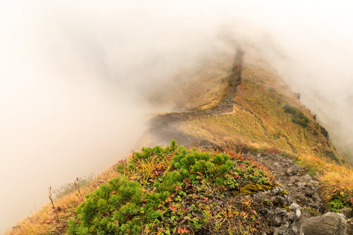 霧に覆われる駒ヶ岳の稜線と登山道を進む登山者の風景