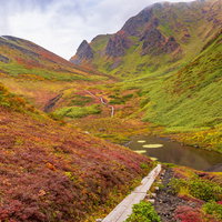 ムーミン谷の駒ヶ岳、緑に囲まれた木道の登山道の写真