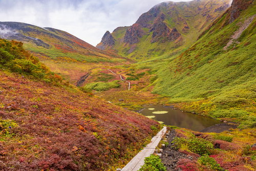ムーミン谷の駒ヶ岳、緑に囲まれた木道の登山道