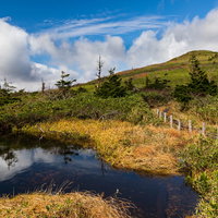 空が反射する八幡平の沼沿い遊歩道を歩く高山の景観の写真
