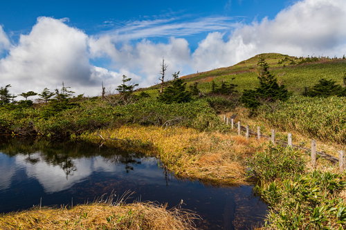 空が反射する八幡平の沼沿い遊歩道を歩く高山の景観