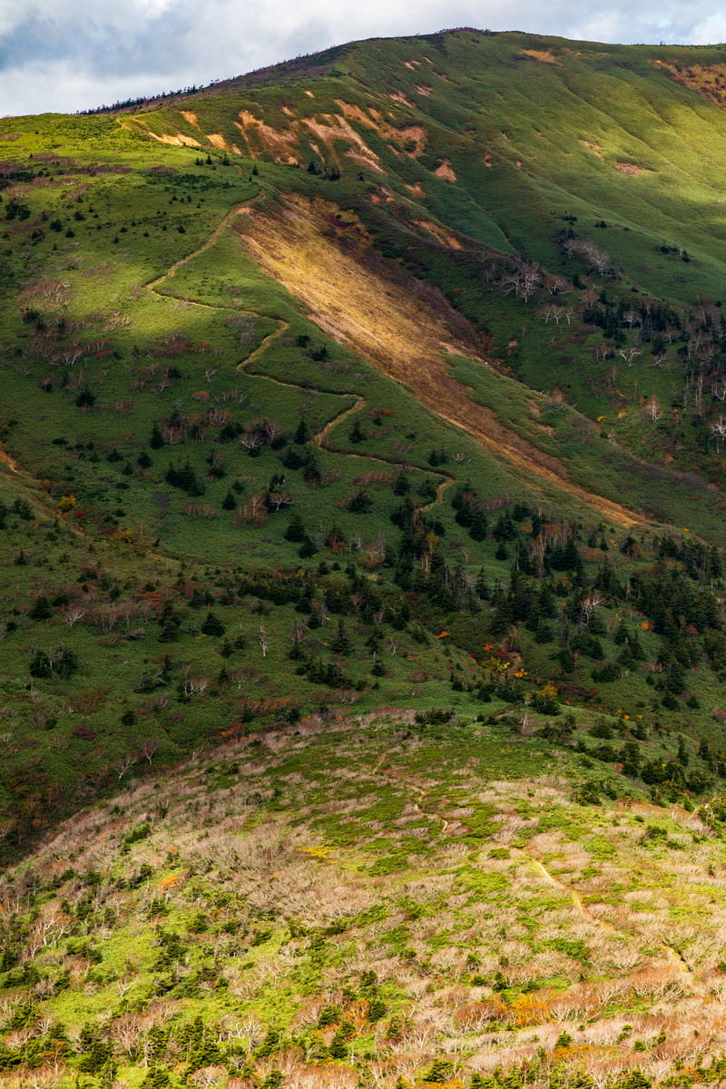 雲の陰に覆われた緑の山肌を蛇行しながら登る急登な登山道
