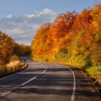 栗駒山の紅葉で染まる道路のカーブの写真