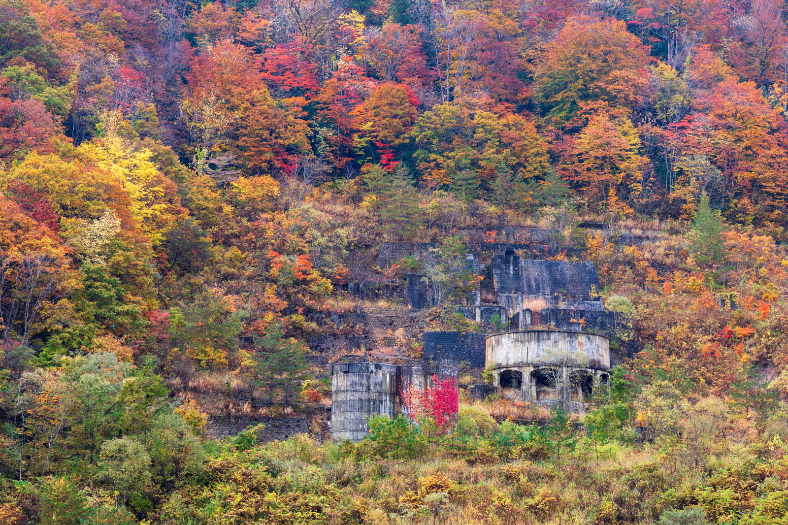 山の紅葉に囲まれた廃墟のコンクリート建物