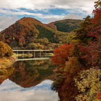 紅葉した木々とダム湖に反射する山々を渡る鉄橋の写真