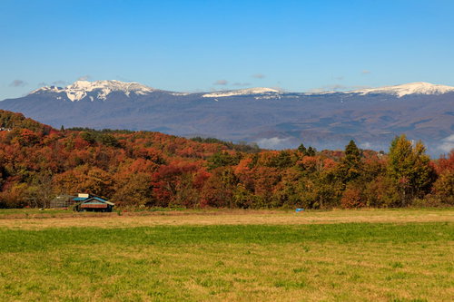 草原から望む冠雪した八幡平と紅葉した山々の秋風景