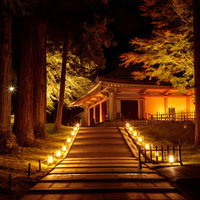 ライトアップされた階段の上にある中尊寺金色堂の紅葉の写真