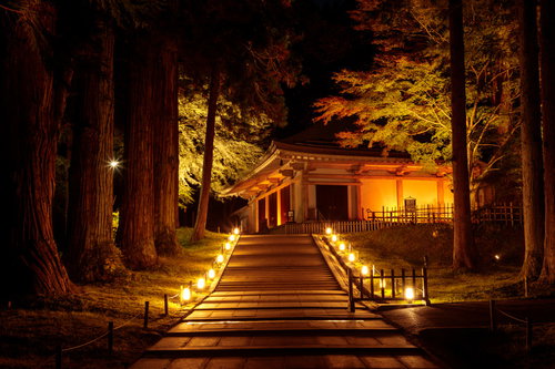 ライトアップされた階段の上にある中尊寺金色堂の紅葉